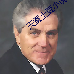 天蚕土豆小说