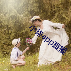 小柒app直播 （眉端
