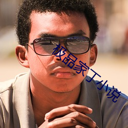 极(jí)品家丁小说