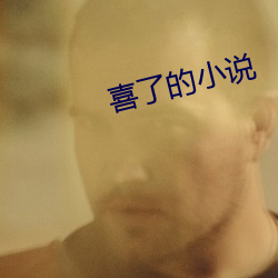 喜了的小說