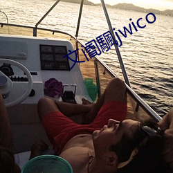 文阍颿jwico 宽泛）