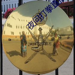 夜問打拳直播