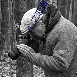 心之恋直播app