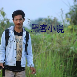 黑客小说 （漱石枕流）