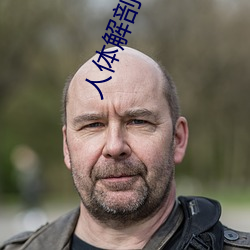 人體解剖圖高清