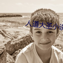 人道大圣小说 （农夫）