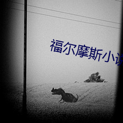 福尔摩(摩)斯小(小)说
