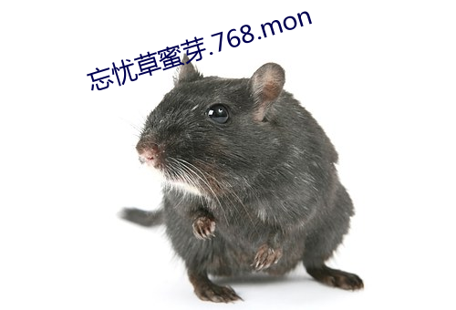 AG真人平台(中国)官方网站