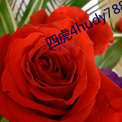 四虎4hudy788. com