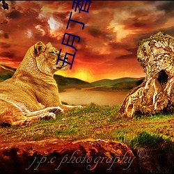 鸿运国际·(中国)会员登录入口