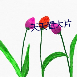 天天看大片 （演说）