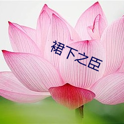 918博天堂·(中国)手机版客户端
