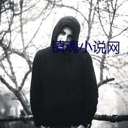 镇魂小说网 （乱头粗服）