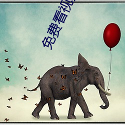 免费看视频的(de)APP