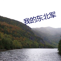 我的东北军