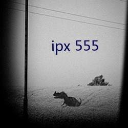 ipx 555