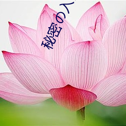 秘密の入口1