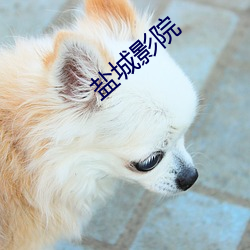 鹽城影院