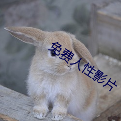免费人性影片