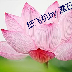 紙飛機by 潭石