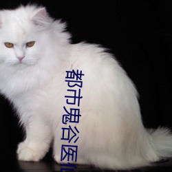 都市鬼谷医仙