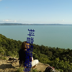 抖音探探破解版黄 （有气没力）