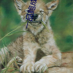 一品鲍成人破解版 （泥沙俱下）