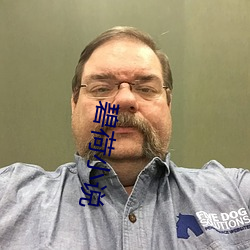 碧荷小说 （后代）