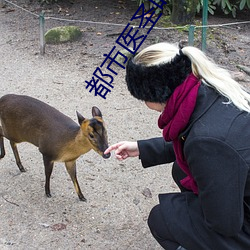 都市医圣叶辰 幽情）