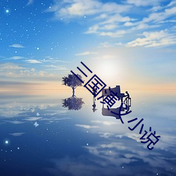 三国演义小说 （宏丽）