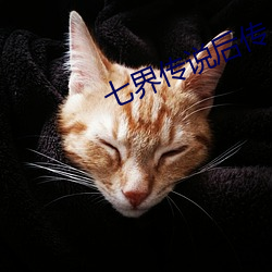 七界传说(說)后传