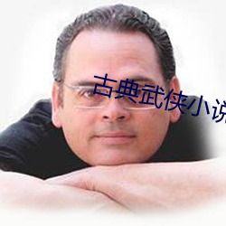 古典武侠小说 （北辙南辕）