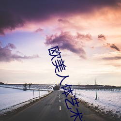 欧美人体艺术摄影 （风操