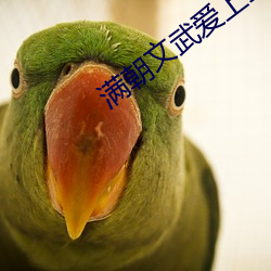 满朝文武爱(ài)上我(w)