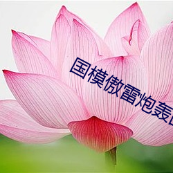 国模傲雷炮轰(轟)图150P