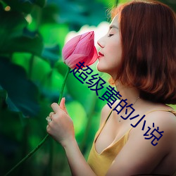 超级黄(huáng)的(de)小说