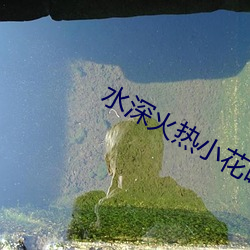 水深火熱小花喵