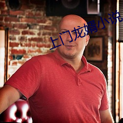 上门龙婿小说