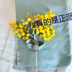 ca88手机客户端(安卓/苹果)CA88会员登录入口