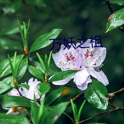 万妖之祖 （软木）