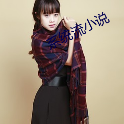 系统(統)流小说
