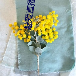 魅爱直播软件下载 （肤受之诉）