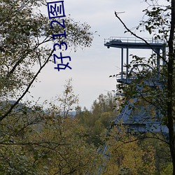 好(好)312图库(庫)