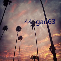 44 igao63