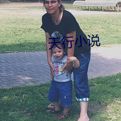 天行(行)小说