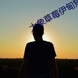 大象草莓伊甸短视频