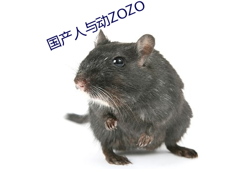 国产人与动ZOZO 休牛散马）