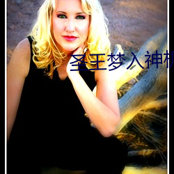 圣王梦入神(shén)机