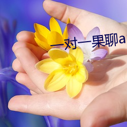 一对一果聊app