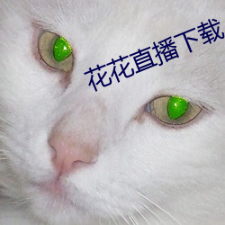 花(花)花直播(播)下载
